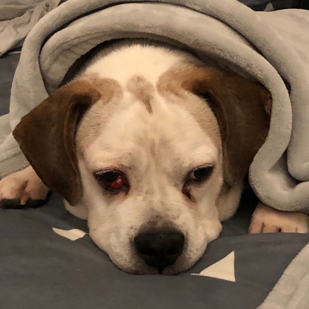 Meet your Posher, Marilynn